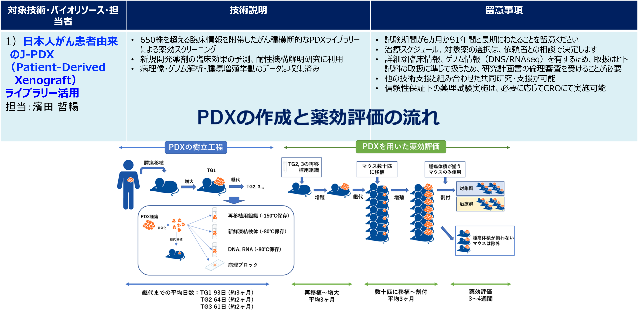 日本人がん患者由来のJ-PDX（Patient-Derived Xenograft）　ライブラリーの活用