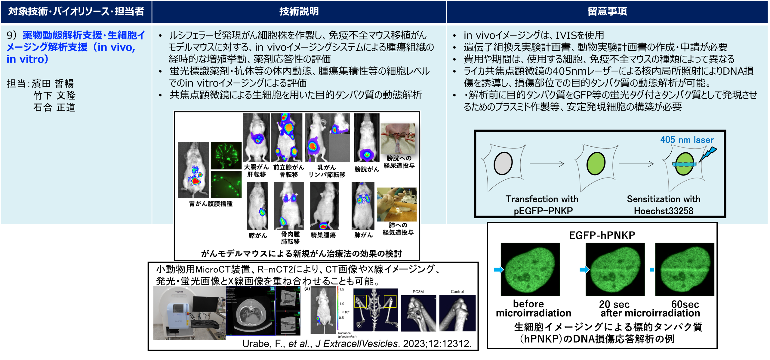 薬物動態解析支援・生細胞イメージング解析支援　（in vivo, in vitro）