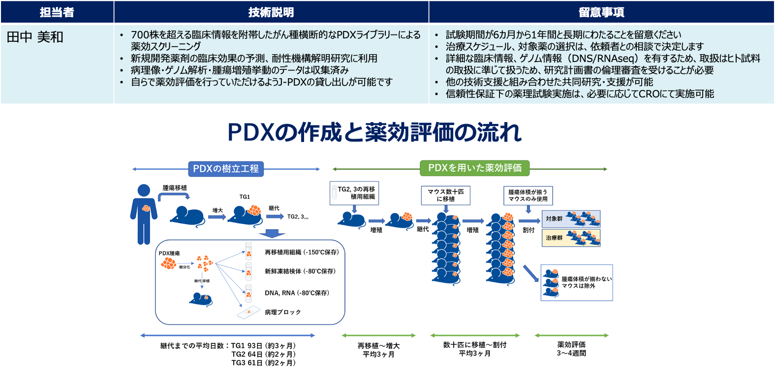日本人がん患者由来のJ-PDX（Patient-Derived Xenograft）　ライブラリーの活用