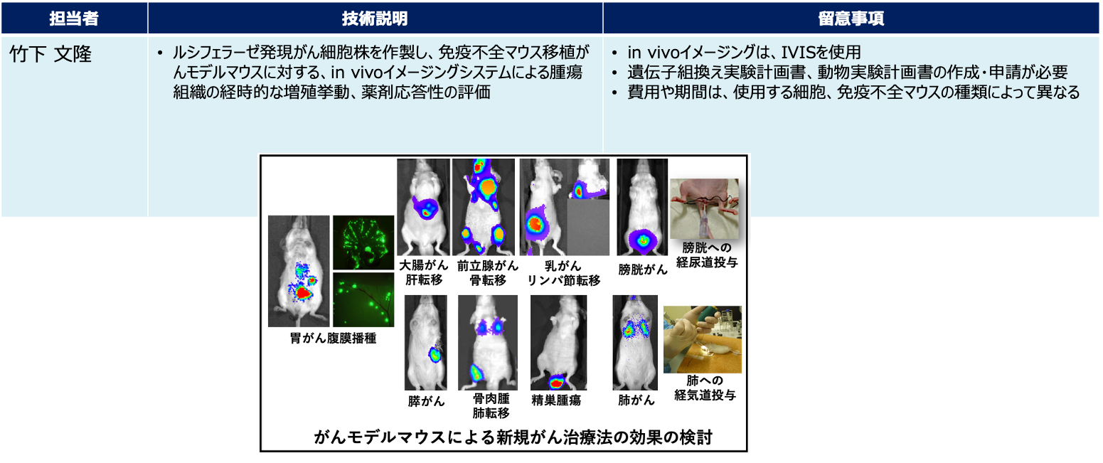 In vivo イメージング解析支援