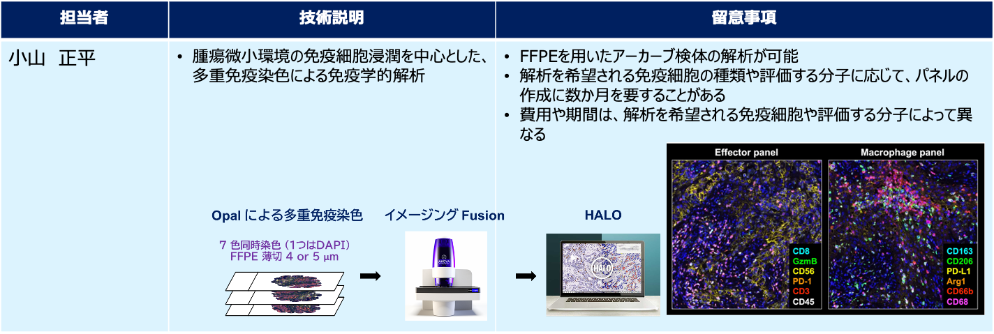 免疫ゲノム及び多重免疫染色解析析
